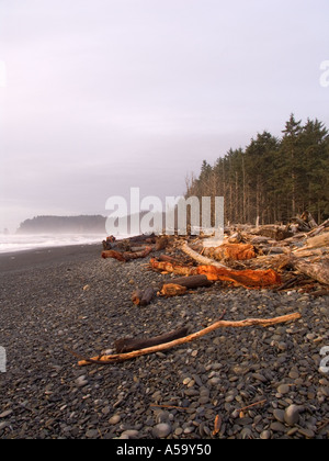 Le Rialto Beach Olympic National Park Washington USA Banque D'Images