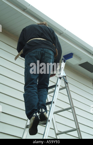 Carpenter sur l'escabeau sur un toit plat pour rejoindre l'embarquement soffite fascia gouttières renouvelé dans de nouveaux matériaux plastiques England UK Banque D'Images