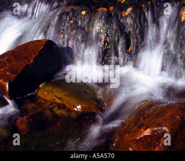 Vue rapprochée de rochers de grès avec un cours d'eau brouillée sur et autour d'eux Banque D'Images