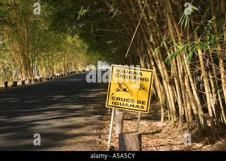 Iguana Crossing sign Banque D'Images