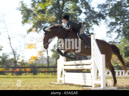Femme cheval obstacle plus Parution du modèle Banque D'Images