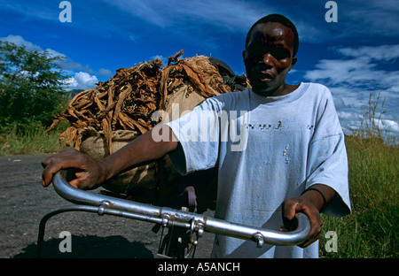 Un homme transportant des marchandises sur son cycle Malawi Banque D'Images