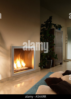 Foyer A Gaz Modernes Banque D Images Photo Stock 119741196 Alamy