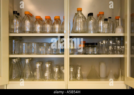 Béchers en verre scientifique et des bouteilles dans une armoire. Banque D'Images