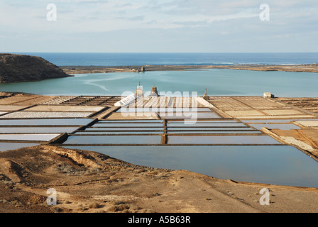 Plan des marais salants sur l'île de Lanzarote Banque D'Images