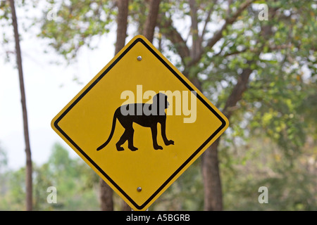 Attention aux singes sur le panneau routier Thaïlande Banque D'Images