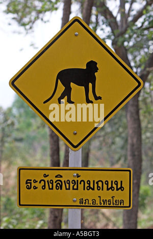 Attention aux singes sur le panneau routier Thaïlande Banque D'Images