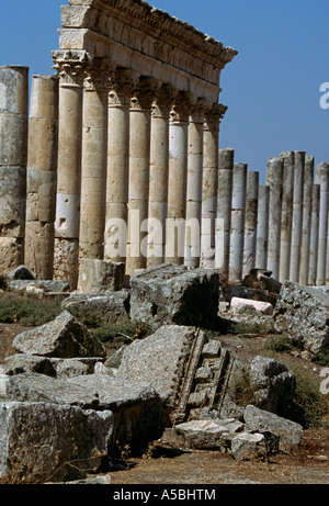 Ruines Romaines de Palmyre en Syrie Banque D'Images