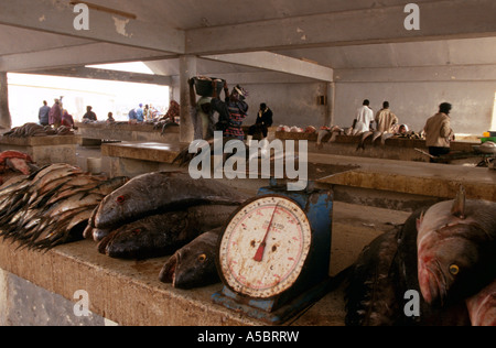 Une scène d'un marché de poisson de Nouakchott Mauritanie Banque D'Images