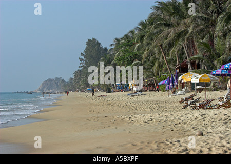 Palmiers et parasols de plage de Lamai Ko Samui Island Thailand Banque D'Images