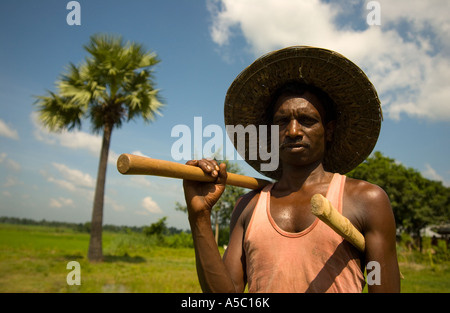 Ses champs de travail des agriculteurs au Bangladesh Banque D'Images