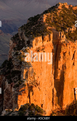 Coucher du soleil doré à la rive nord du Grand Canyon, Arizona Banque D'Images