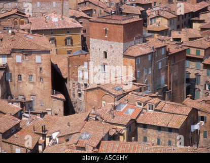 Sienne, Toscane, Italie. Vue sur les toits de Torre del Mangia (tour de ville) Banque D'Images