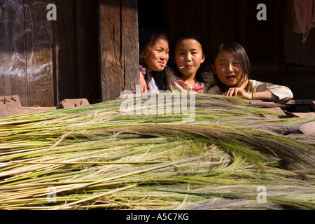 Les filles et le chiendent chinois pour balais séchant au soleil Yaoqu Chine Banque D'Images