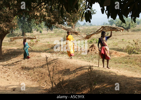 Les femmes portant de lourdes charges sur la tête de la façon traditionnelle dans le Desia Kondh, zone tribale de l'Orissa, Inde Banque D'Images