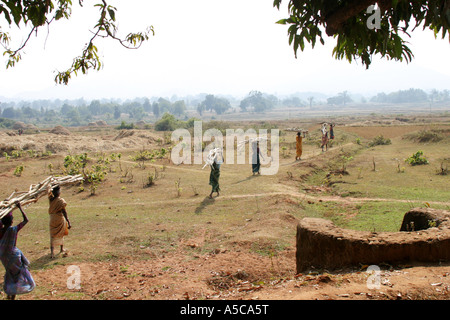 Les femmes portant de lourdes charges sur la tête de la façon traditionnelle dans le Desia Kondh, zone tribale de l'Orissa, Inde Banque D'Images