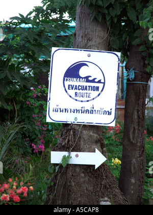 Parcours d'évacuation Tsunami flèche et signe cloué à Phi Phi Island arbre Thaïlande Banque D'Images