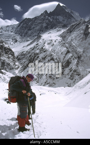 Les randonneurs devant Machhaphuchhare au camp de base de l'Annapurna au Népal Banque D'Images