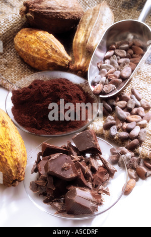 Les cabosses de cacao et de chocolat Banque D'Images