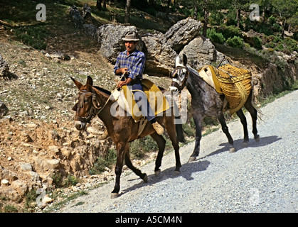 L'homme sur le Cheval poney laden menant vers le bas de la route escarpée El Torcal Malaga Espagne Banque D'Images