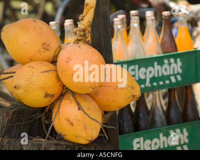 Les boissons gazeuses sri-lankaise locale vs marques internationales avec l'eau de noix de coco comme option à proximité Banque D'Images