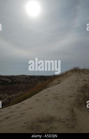 Monahans Sandhills dunes dans l'ouest du Texas Banque D'Images