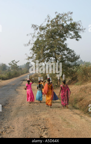 L'Orissa colorés pour transporter leur boîte à lunch sur leur tête Banque D'Images