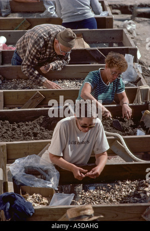 Les archéologues le dépistage des artéfacts de l'excavation Banque D'Images