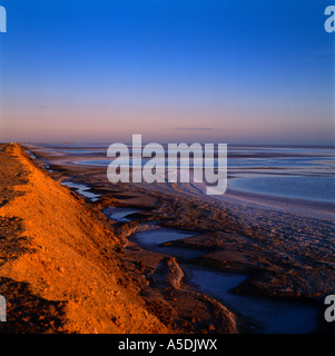 Chott el Djerid Tunisie Endorheic Salt Lake plus grande casserole de sel du désert du Sahara au coucher du soleil Banque D'Images