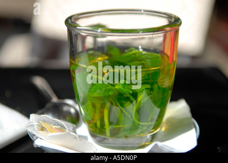 Verre de thé de feuilles de menthe fraîche Banque D'Images