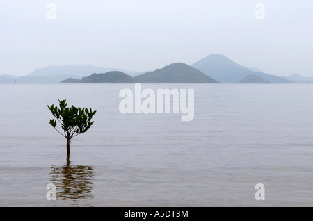 Paysages de littoral dans le nord-est de nouveaux territoires de Hong Kong. Chine Banque D'Images