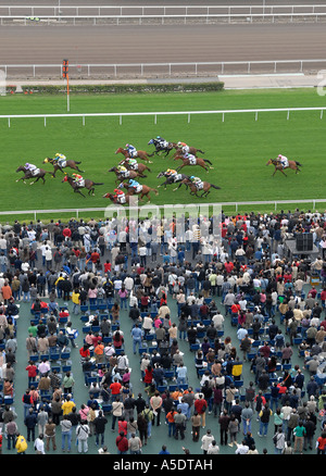 Spectateurs regarder les courses de chevaux à l'hippodrome de Sha Tin situé à Sha Tin dans les nouveaux territoires à Hong Kong, Chine. Banque D'Images