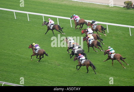 Les courses de chevaux à l'hippodrome de Sha Tin à Hong Kong situé à Sha Tin dans les Nouveaux Territoires. Chine Banque D'Images