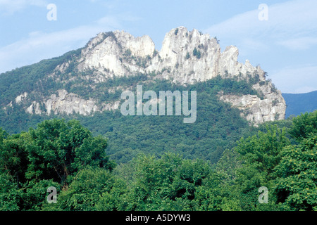Seneca Rocks, Pendleton Comté, Virginie-Occidentale Banque D'Images