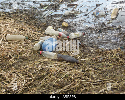 Les déchets et débris flottant dans l'eau. Les bouteilles de boissons en plastique principalement dans les Midlands UK. Banque D'Images