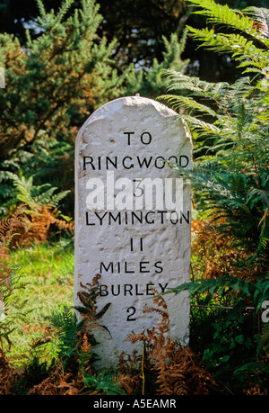 Milepost, New Forest, Hampshire, Royaume-Uni Banque D'Images