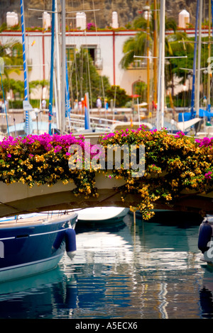 Marina de Puerto de Mogan, Grande Canarie, Îles Canaries, Espagne. Banque D'Images