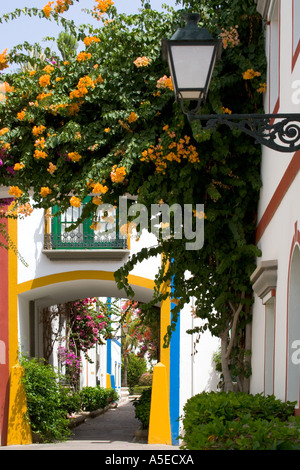 Rue typique de Puerto de Mogan, Grande Canarie, Îles Canaries, Espagne. Banque D'Images