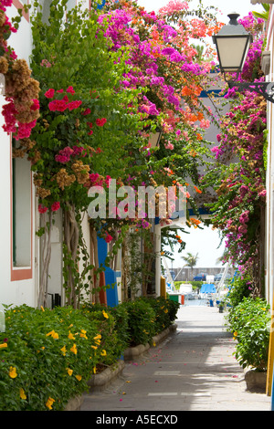 Rue typique de Puerto de Mogan, Grande Canarie, Îles Canaries, Espagne. Banque D'Images