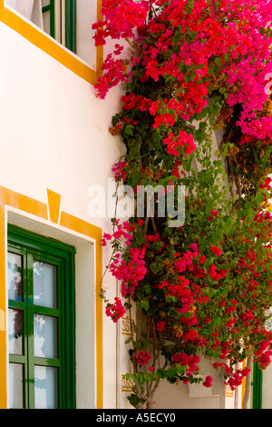 Détail de rue typique de Puerto de Mogan, Grande Canarie, Îles Canaries, Espagne. Banque D'Images