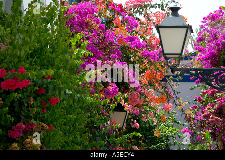 La lumière de la rue typique et de bougainvilliers en Puerto de Mogan, Grande Canarie, Îles Canaries, Espagne. Banque D'Images