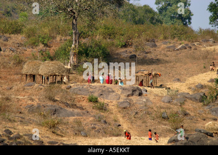 Battage communal est un village tribal indien Activité dans le district de Koraput d'Orissa en Inde Banque D'Images