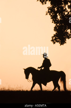 Silhouette of man dans l'ouest de l'équitation étalon Cheval Arabe costume sur l'horizon avec la pleine lune dans le ciel derrière Banque D'Images