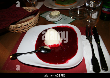Dessert élégant : une boule de glace à la vanille baignée dans un riche coulis de framboises. Banque D'Images