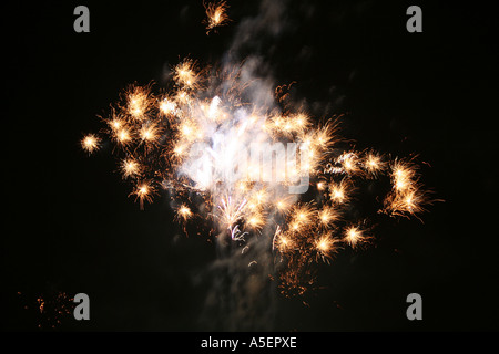 'Feux d'artifice lumineux explosant contre un ciel nocturne sombre. Banque D'Images