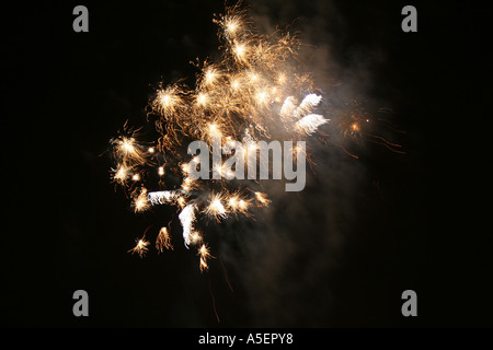 'Feux d'artifice lumineux explosant contre un ciel nocturne sombre. Banque D'Images