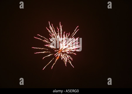 Éclatement de feux d'artifice roses dans un ciel nocturne sombre. Banque D'Images