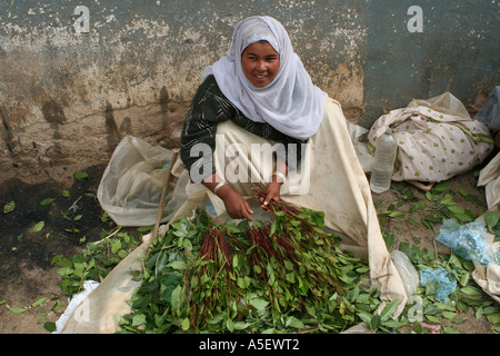 Harar, en Ethiopie, les femmes vendent des paquets de Qat dans le marché Banque D'Images