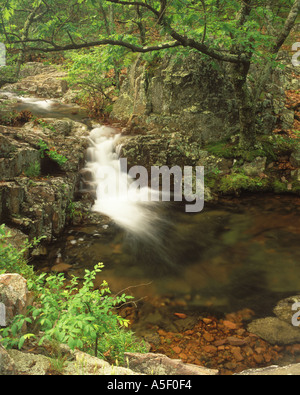 Piscine et cascade au-dessus de Mina Sauk Taum Sauk Mountain Falls State Park New York USA Banque D'Images