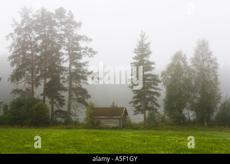 Foggy moring à Dalecarlia, Suède. Banque D'Images